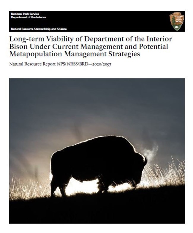 Cover of the Park Service's bison population viability report, showing a bison silhouetted on a ridge.