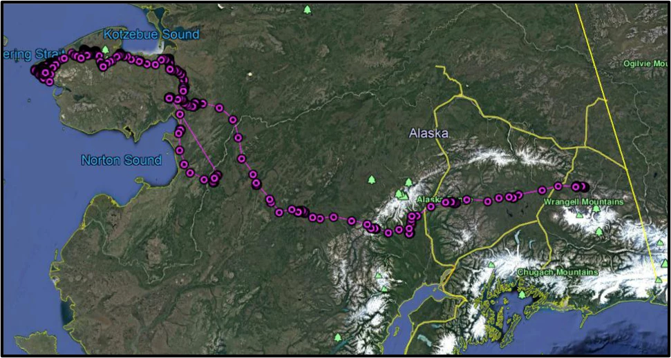 Map of Golden Eagle 1502's path west from the Mentasta Mountains across interior Alaska to the Seward Peninsula, spring 2015.