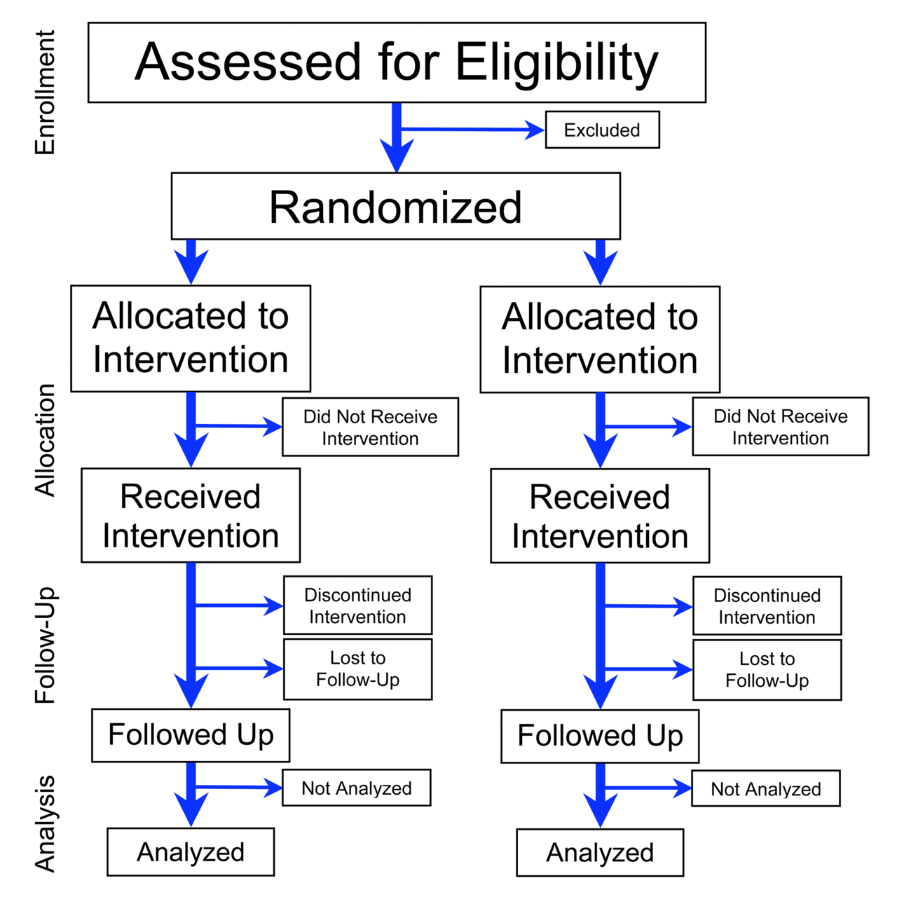 Example of the phases included in a Randomized Controlled Trial