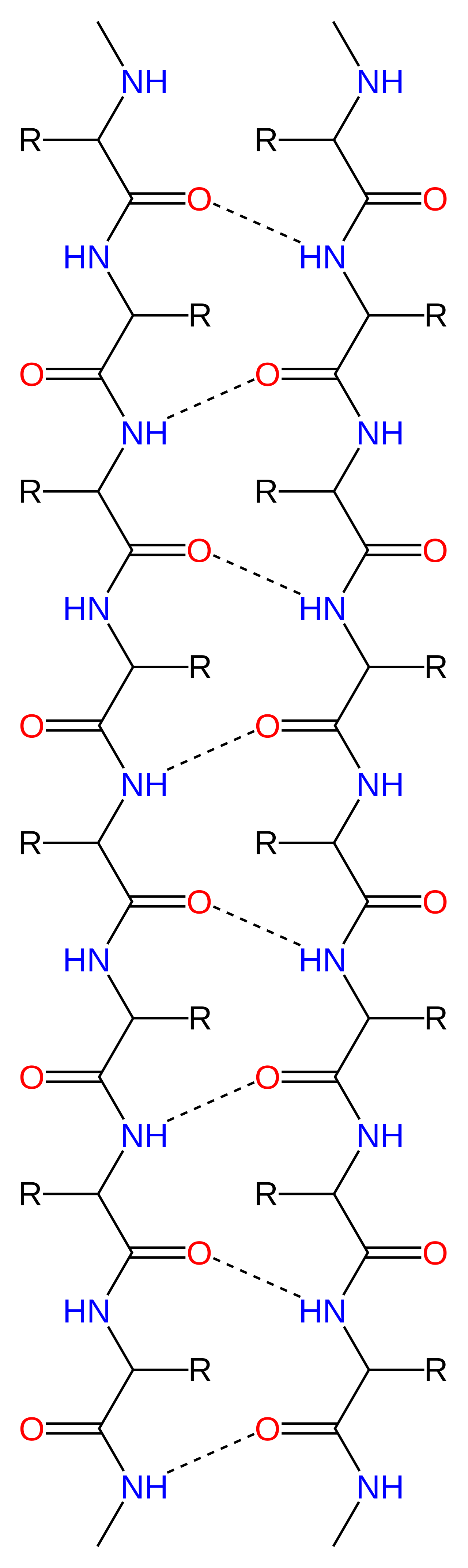 Amino acids interacting to make a beta strand
