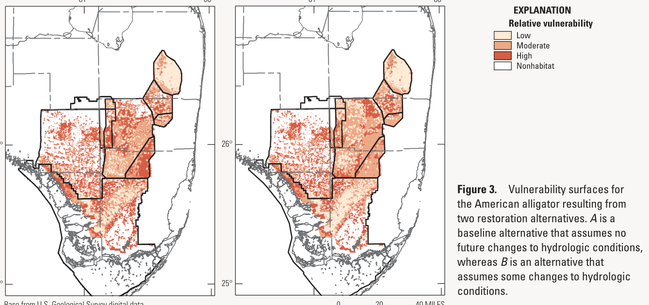 Two maps of south Florida shading alligator vulnerability from low to high under a baseline plan and a plan with changed hydrology