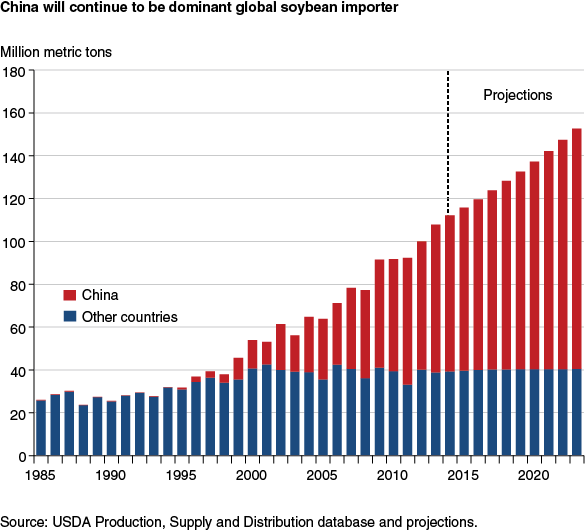 This chart shows: 'China will continue to be dominant global soybean importer'.