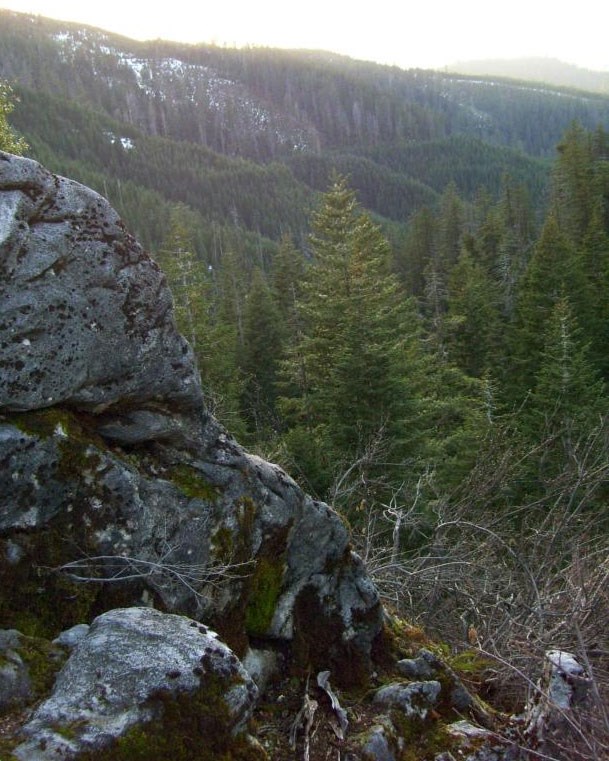 rock outcrop