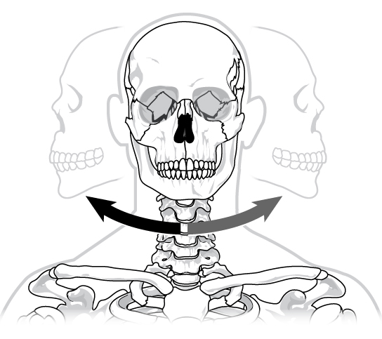Illustration shows a human skull twisting back and forth on the neck in a pivot-like motion.