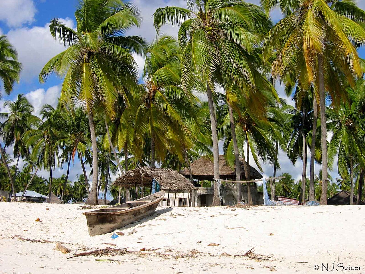 Beach at Zanzibar