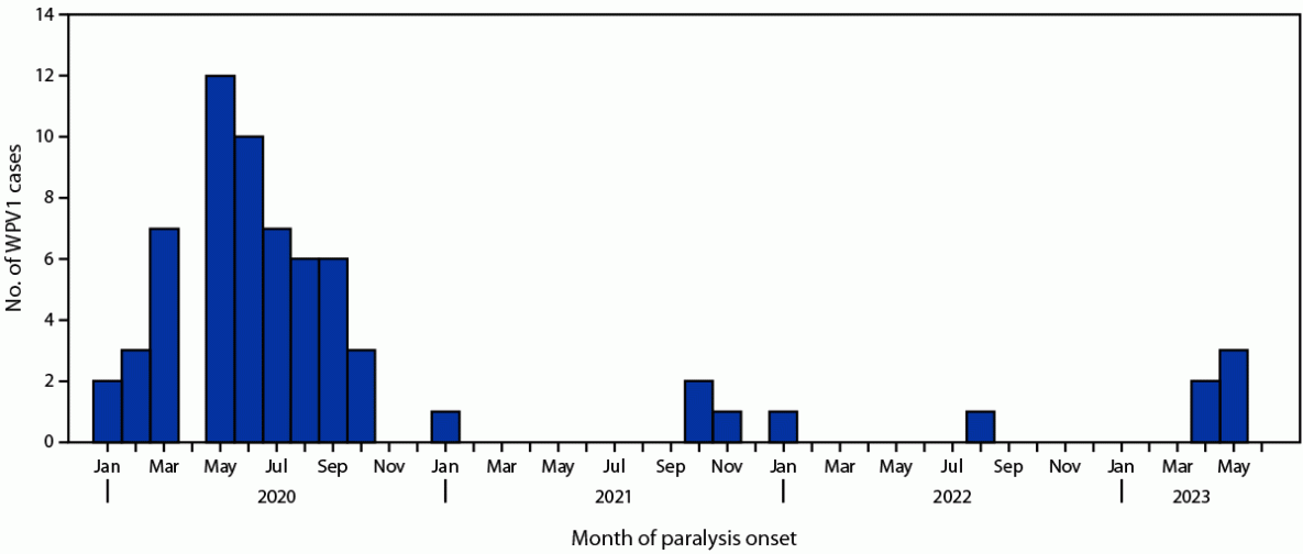Histogram of wild poliovirus type 1 cases in Afghanistan by month of paralysis onset, January 2020 to June 2023.