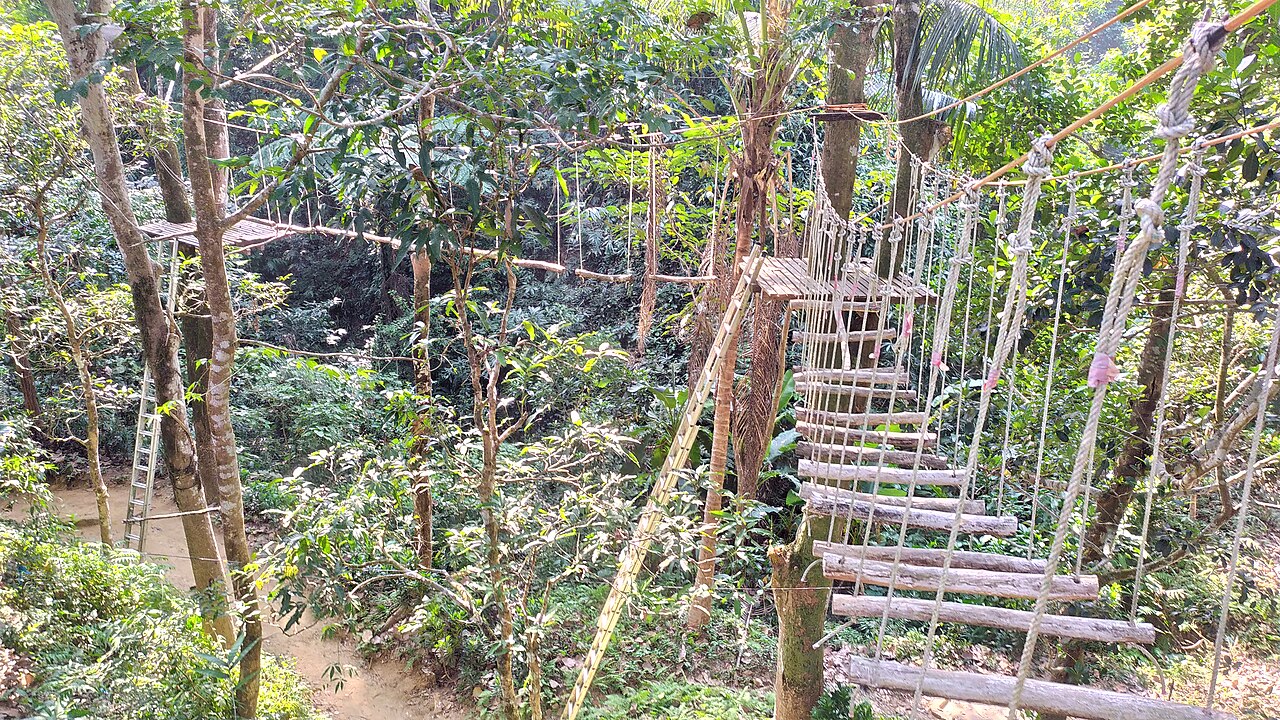 ট্রি অ্যাকটিভিটিজ (দড়িপথ)