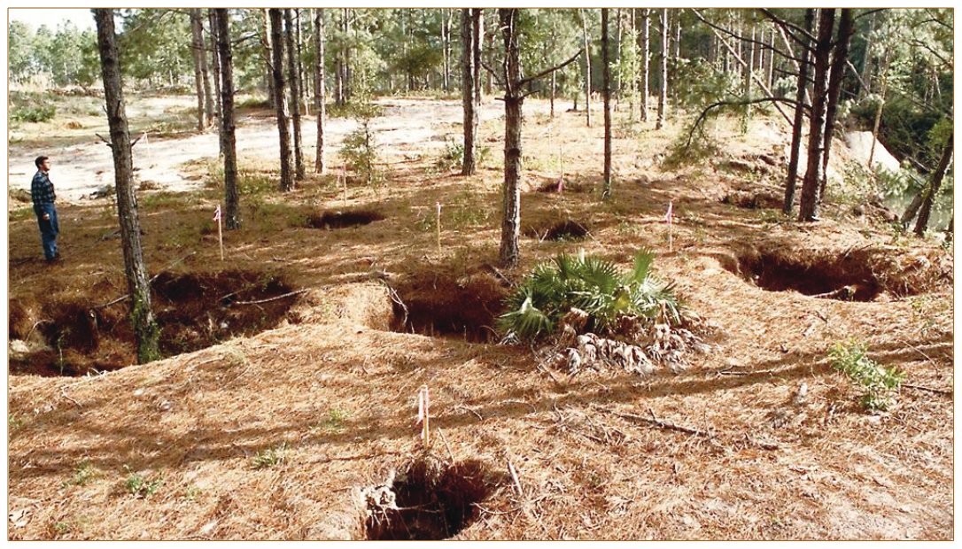 Assessing the vulnerability of public-supply wells to contamination: Floridan aquifer system near Tampa, Florida