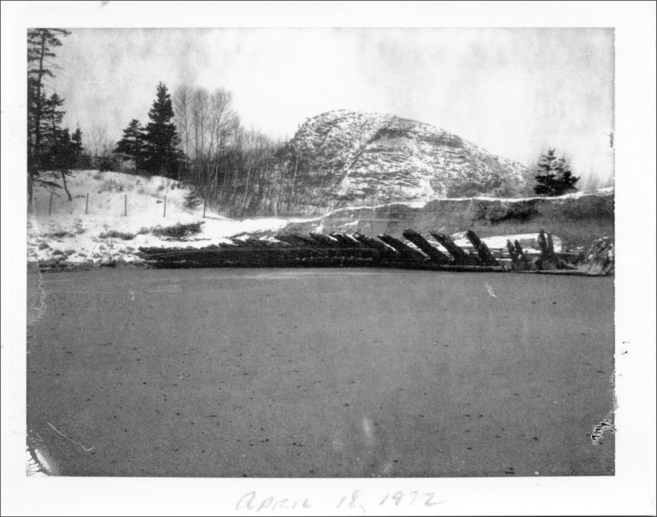 Boards stick out from the shoreline.