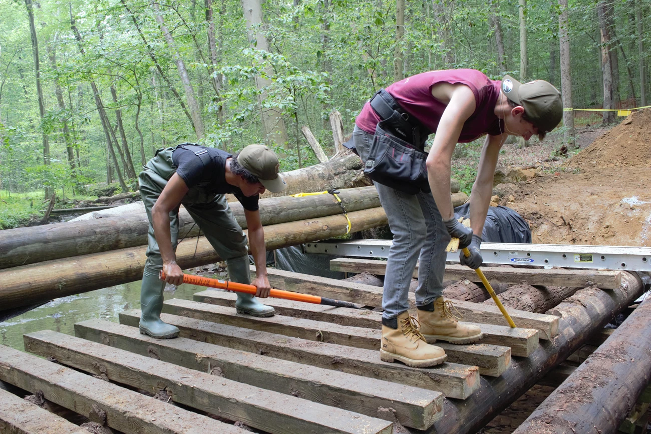 Two interns removing old logs from the bridge.