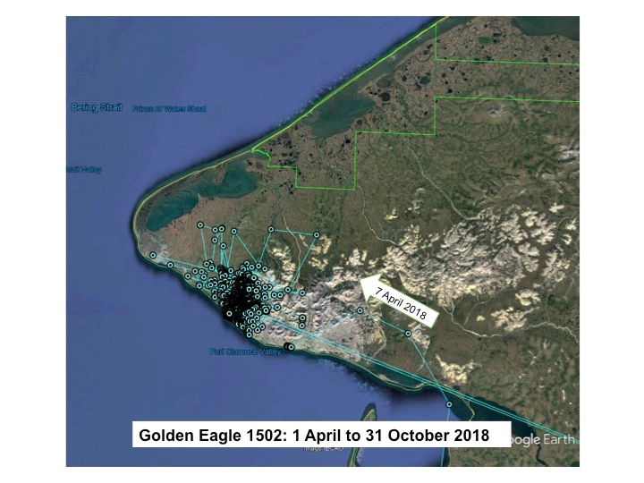 Map of Golden Eagle 1502's more localized locations on the Seward Peninsula in 2018.