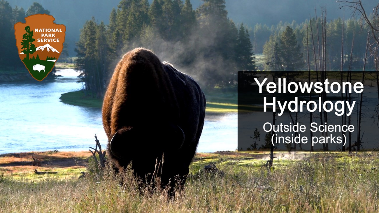 Title card for an Outside Science episode on Yellowstone hydrology, with a bison by a river.