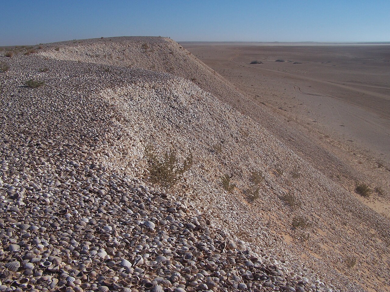 Banc d'Arguin National Park