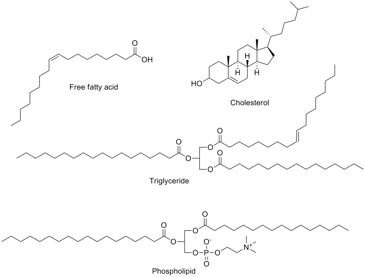 Common lipids