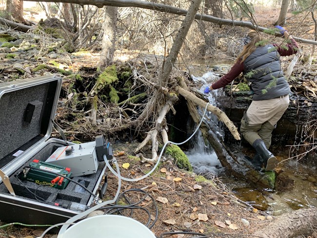 A park employee standing in a small stream, taking a water sample