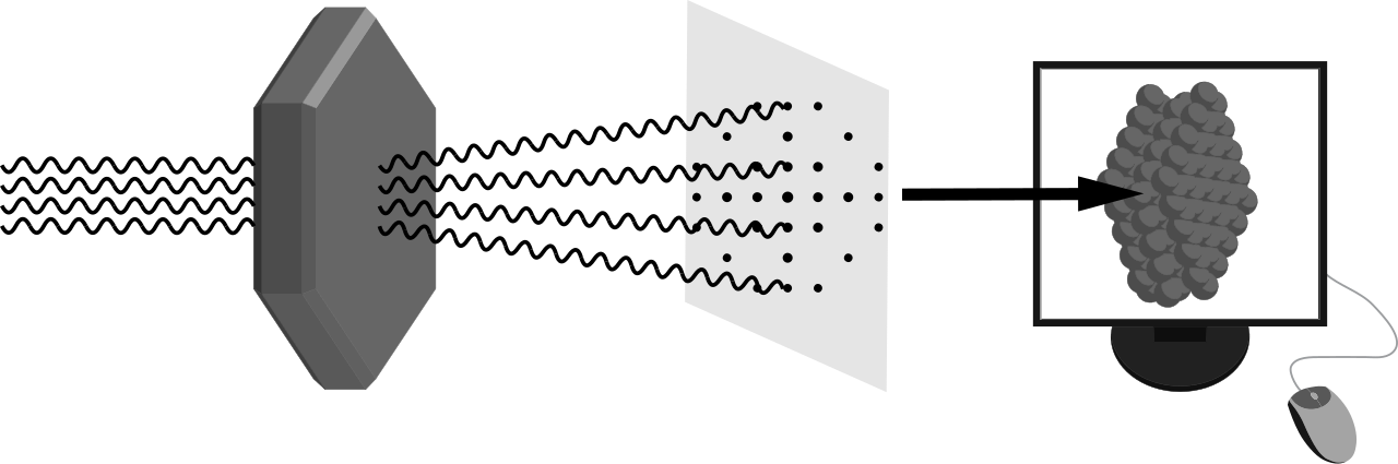 X-ray crystallography