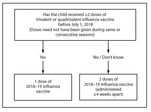 ACIP's dosing algorithm: a child who has had two or more doses of trivalent or quadrivalent influenza vaccine before July 1, 2018 needs one dose of 2018–19 vaccine; otherwise, or if unknown, two doses at least 4 weeks apart.