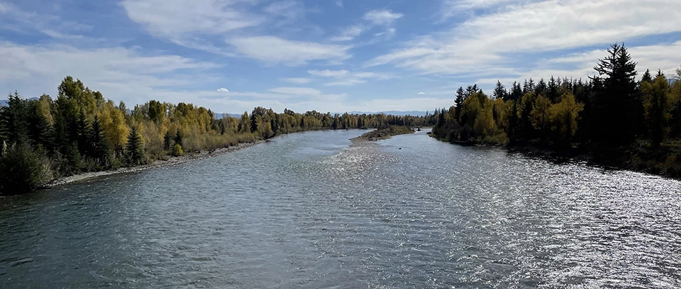 A dark blue river between conifer-lined banks, flowing around a small island.