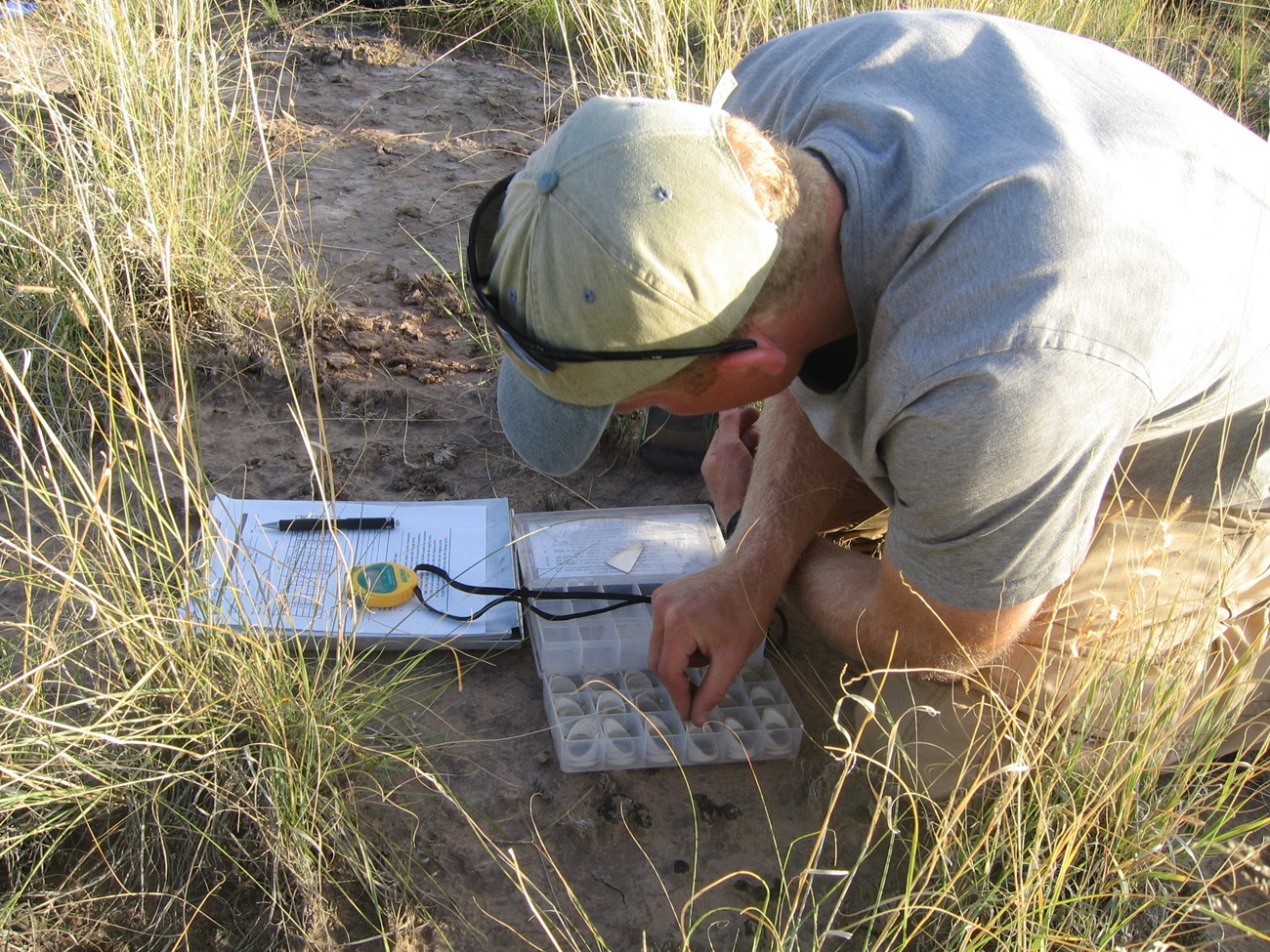 A field biologist running a soil stability test with a plastic box of soil samples, a stopwatch and a clipboard
