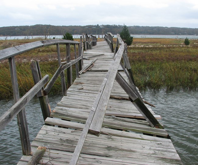 A wooden boardwalk over a wetland, its planks broken and twisted