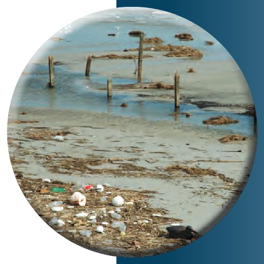 Aerial rapid assessment of hurricane damages to northern Gulf coastal habitats