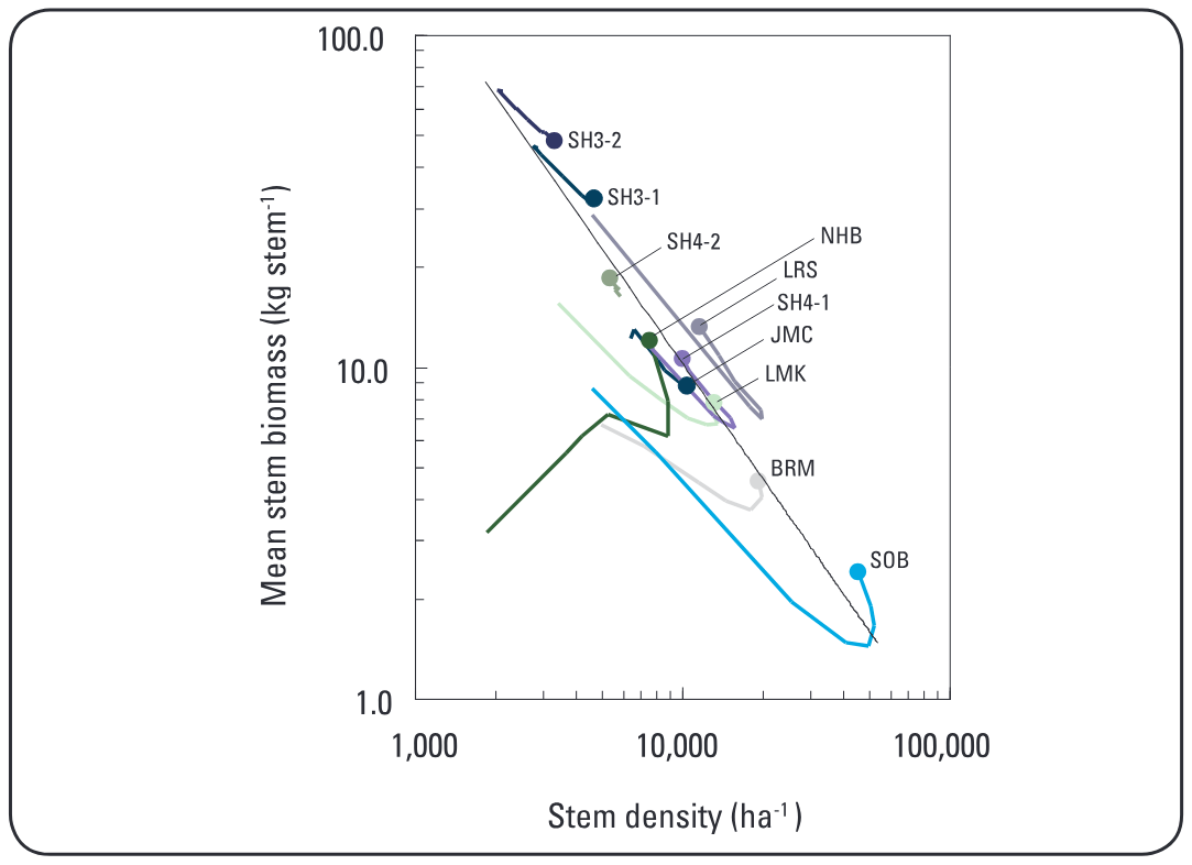 Recovery trends in mangrove stands following Hurricane Andrew in 1992. The self-thinning curve (black line) and relative movement of stands from 1992 to the present time are shown