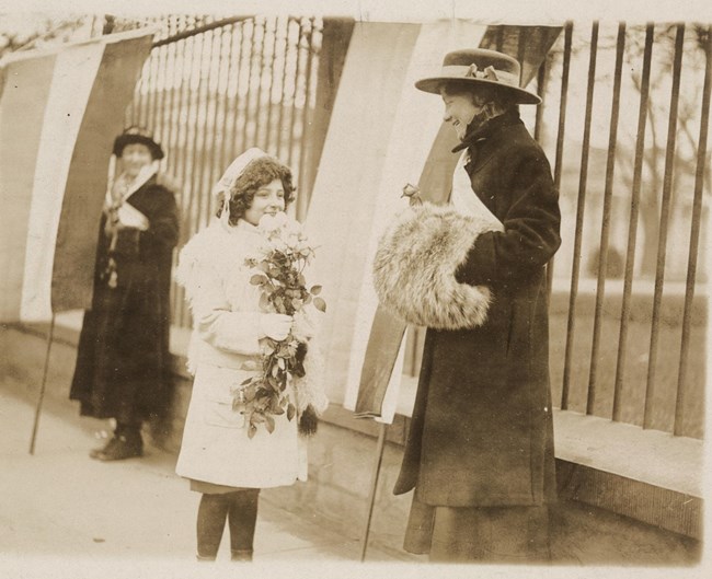 A young girl hands flowers to a smiling picket with a fur muff and suffrage banner outside the White House, while another picket looks on.