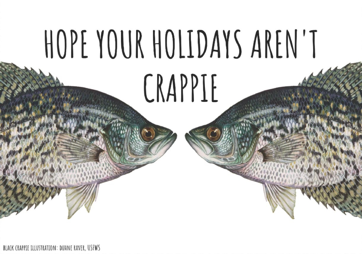 An illustration of two fish called crapiies are in front of a white background. The fish seem to look into each other’s eyes. Text over the fish says “Hope your holidays aren’t crappie.”