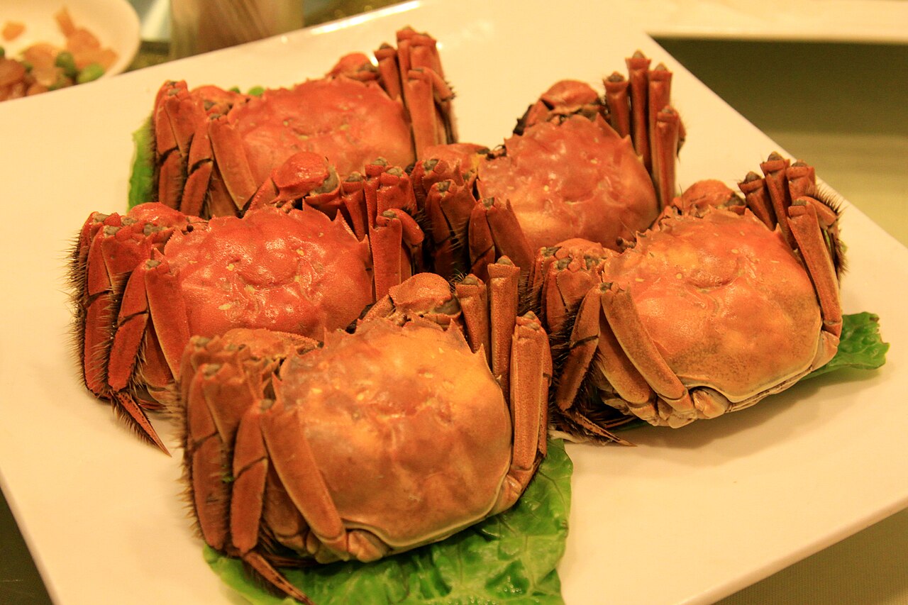 সাংহাইয়ের লোমযুক্ত কাঁকড়া