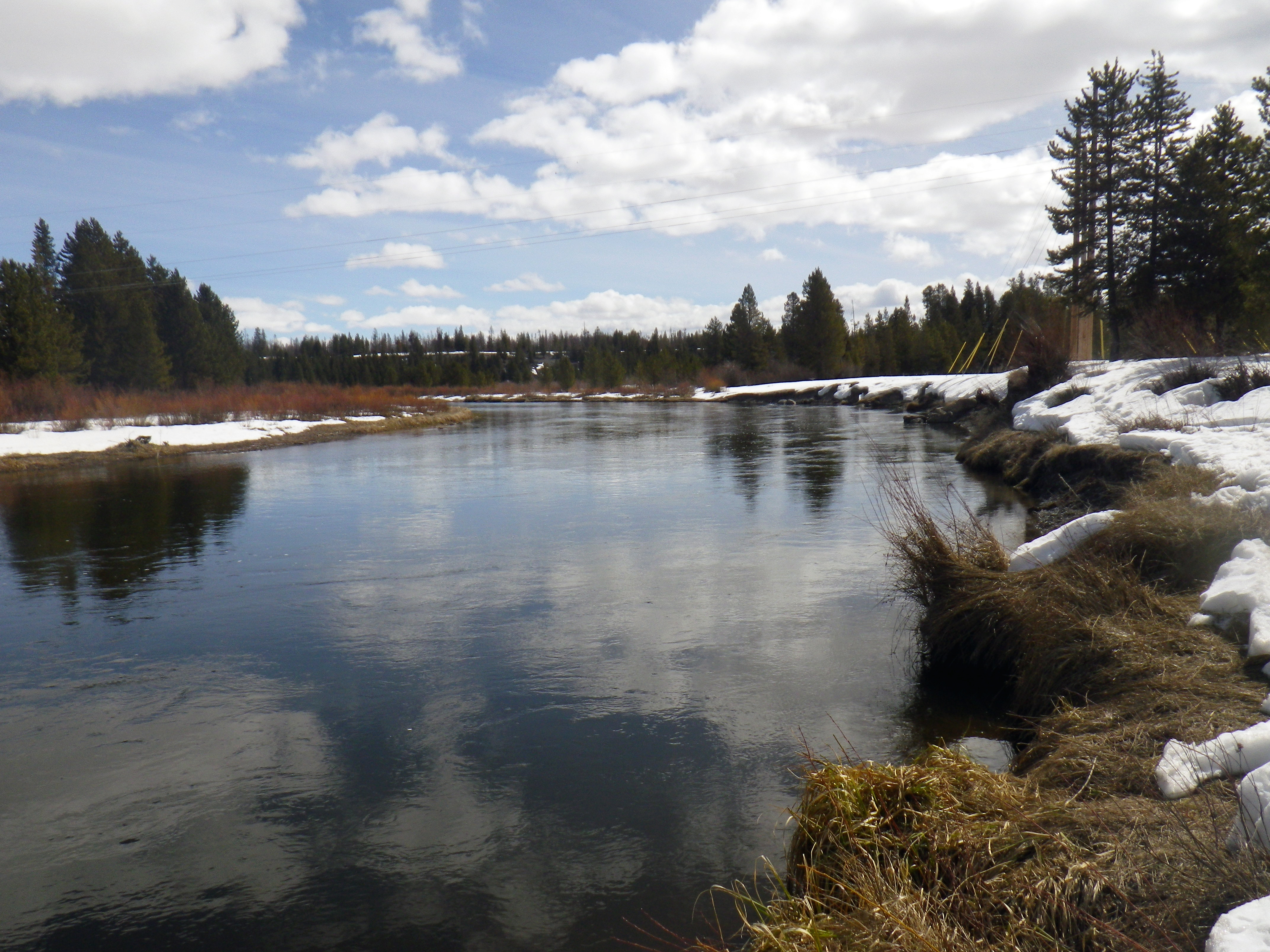 Madison River Water Quality and Flow near West Yellowstone, Montana, in 2022