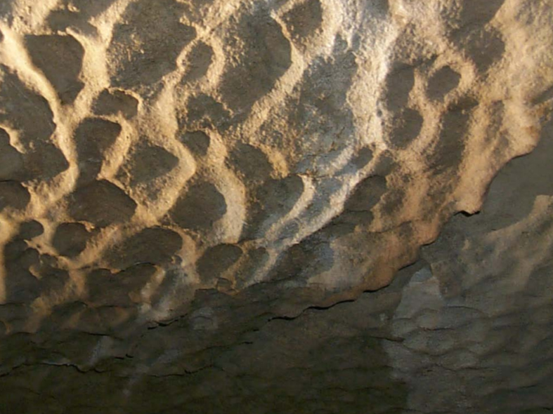 The Geology of Oregon Caves: A Marble Cave, Ancient Seafloor and Ice Age Fossils