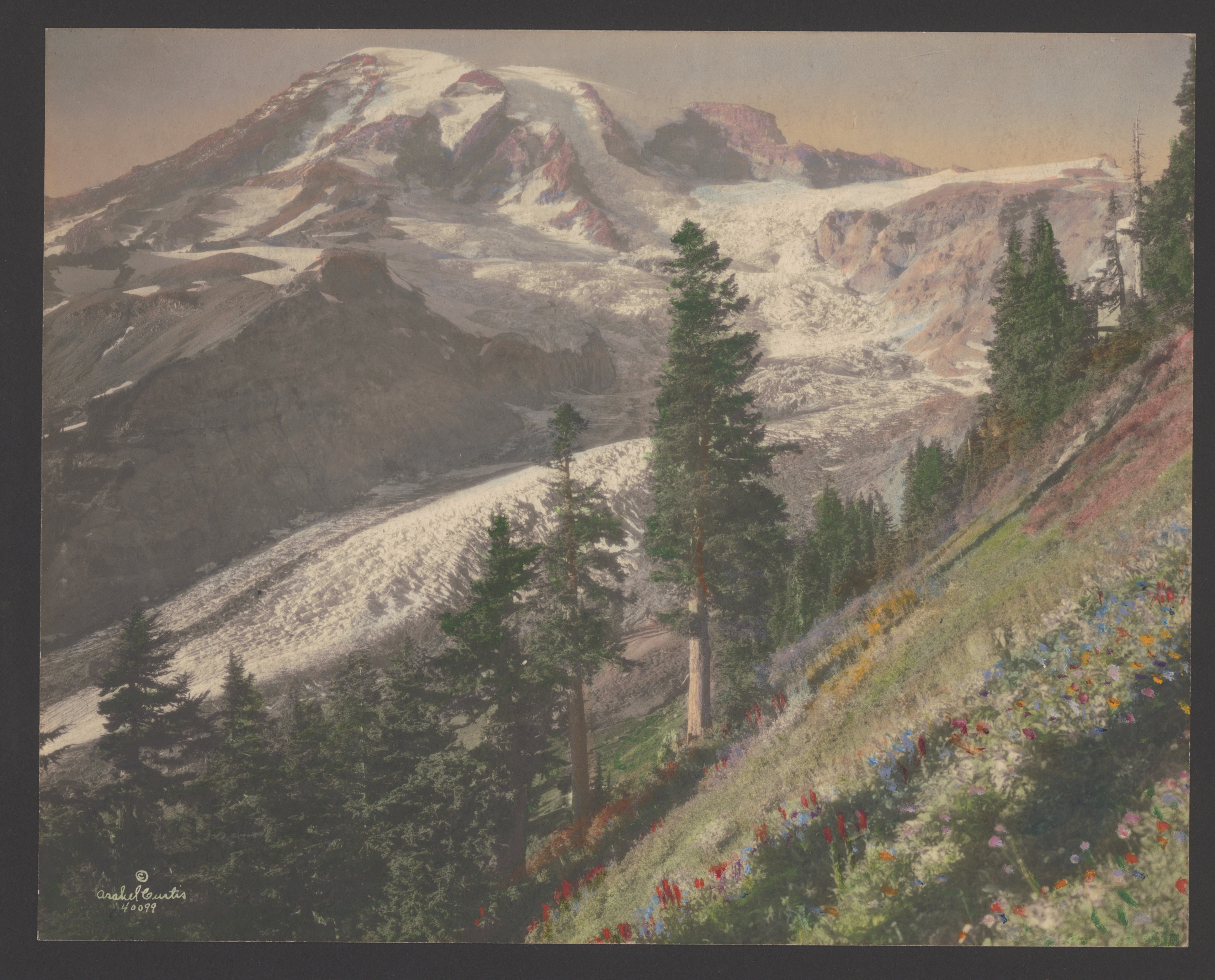 The 1920 Congressional Park Tour: How an Appropriations Committee Came to Back the NPS